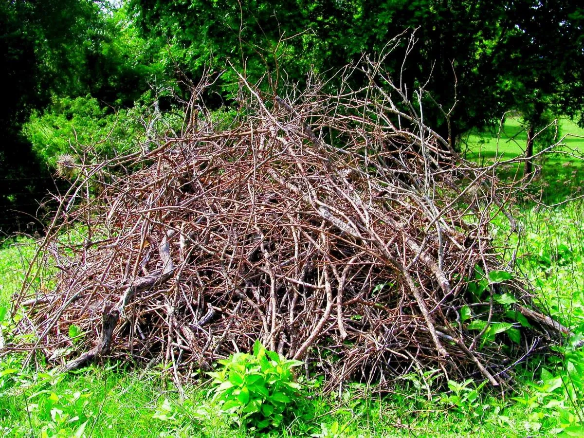 Yard waste and debris removal in Corinth