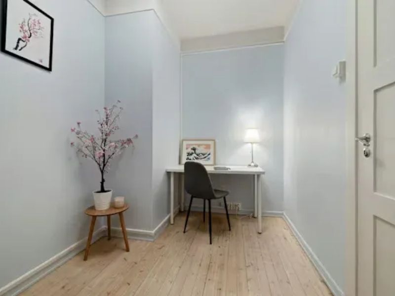 Professional interior painting - walls, ceilings, and trim